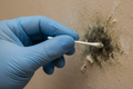 Mould and Fungi Assessment (Per Room)